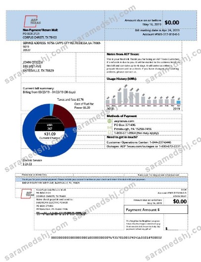 USA AEP Texas electricity utility bill template in Word and PDF format
